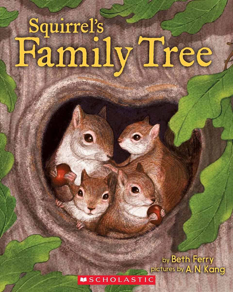 Modes in Focus: Kindergarten image number 1