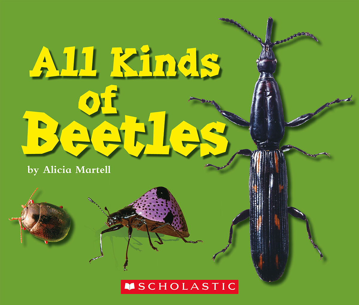 Literacy Place for the Early Years Grade 2 Small-Group Shared/Guided Reading Library Pack image number 3