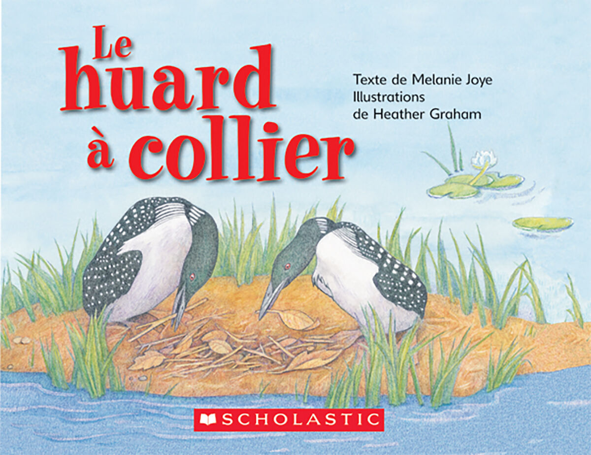 Envol an litt&eacute;ratie 2e &agrave; 4e ann&eacute;e: Niveau N: Le huard &agrave; collier Emballage de 6 image number 0