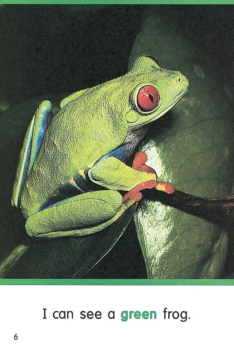 Independent Reading Collection: Level A image number 2