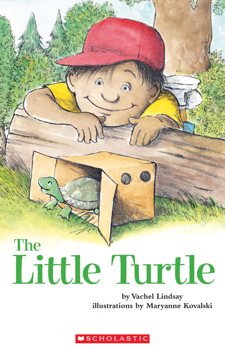 Literacy Place for the Early Years Kindergarten: The Little Turtle Big Book image number 0