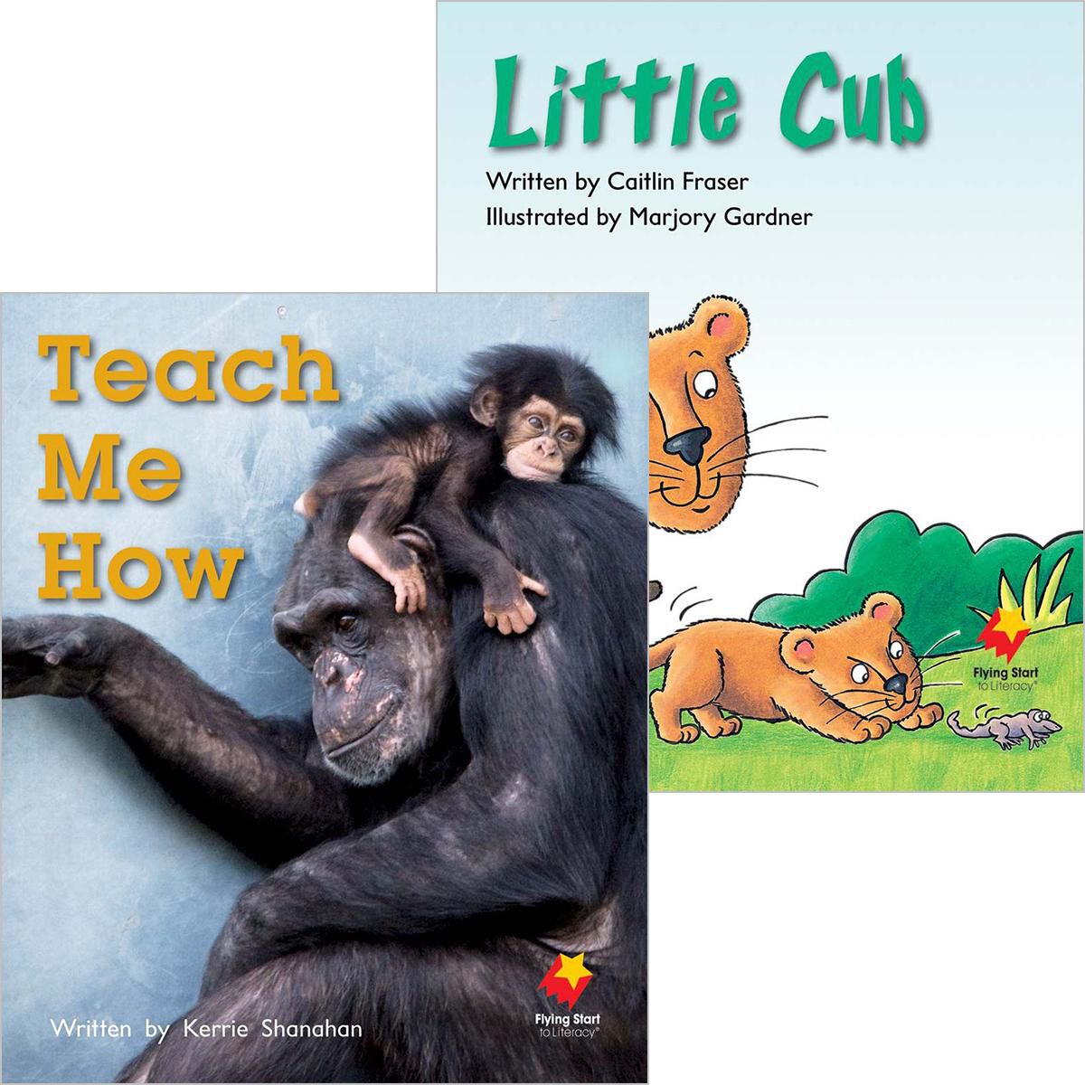Flying Start: Level F: Teach Me How/Little Cub 12 Pack | Scholastic ...
