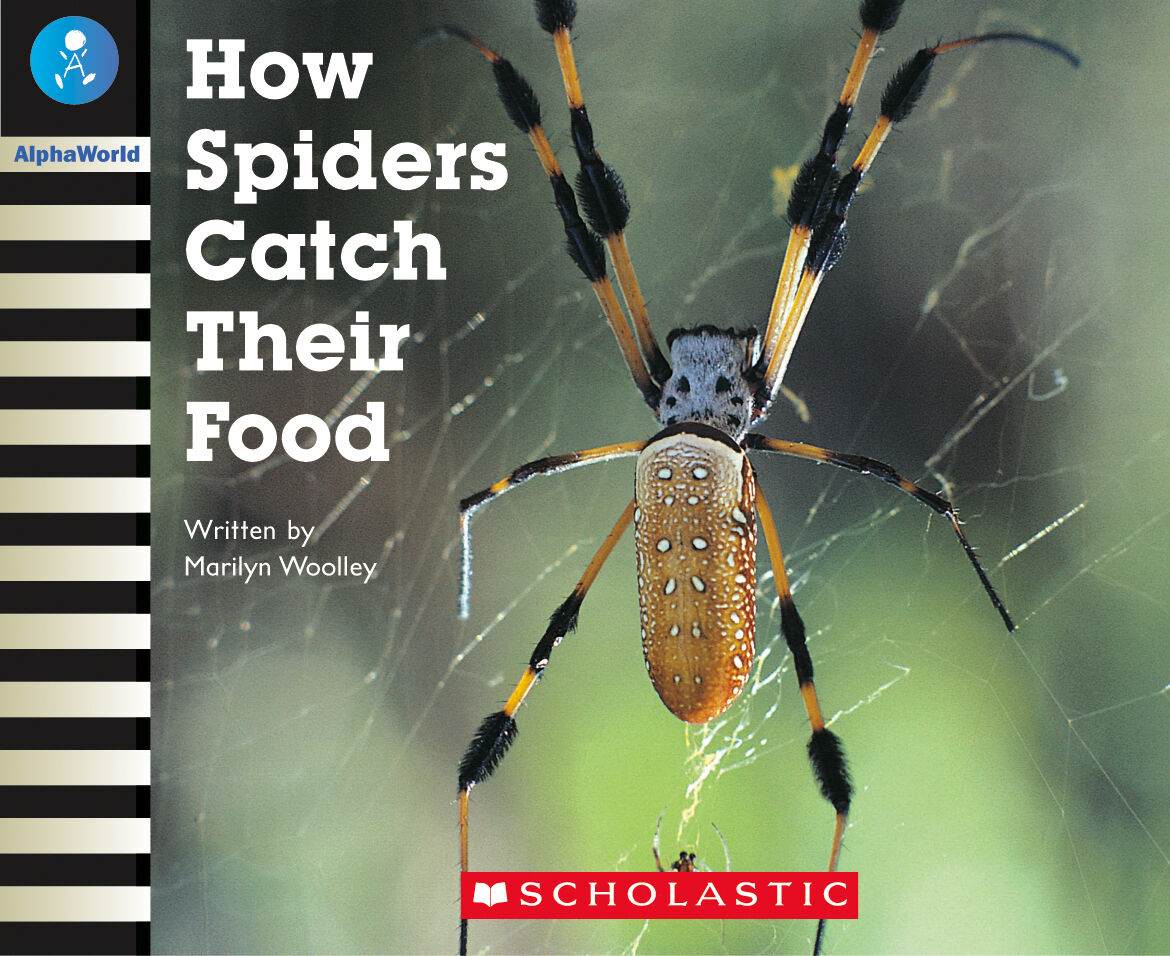 AlphaWorld: Level 19 (J) Multi-pack image number 3