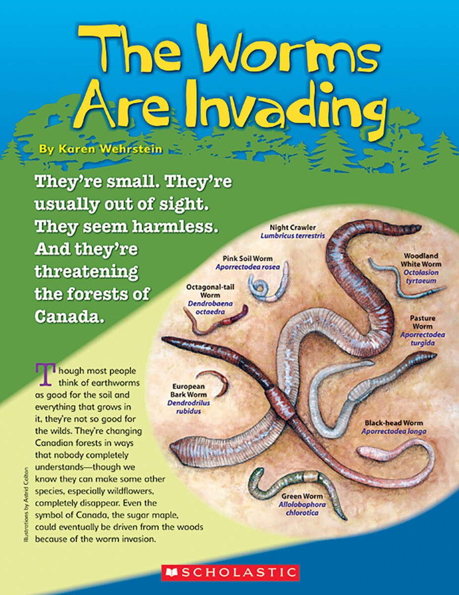 Moving Up Grade 5: Level W/X: The Worms Are Invading 6 Pack ...