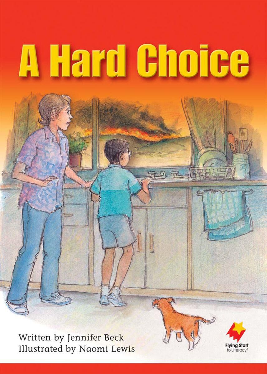 Flying Start Level O Library Pack image number 4