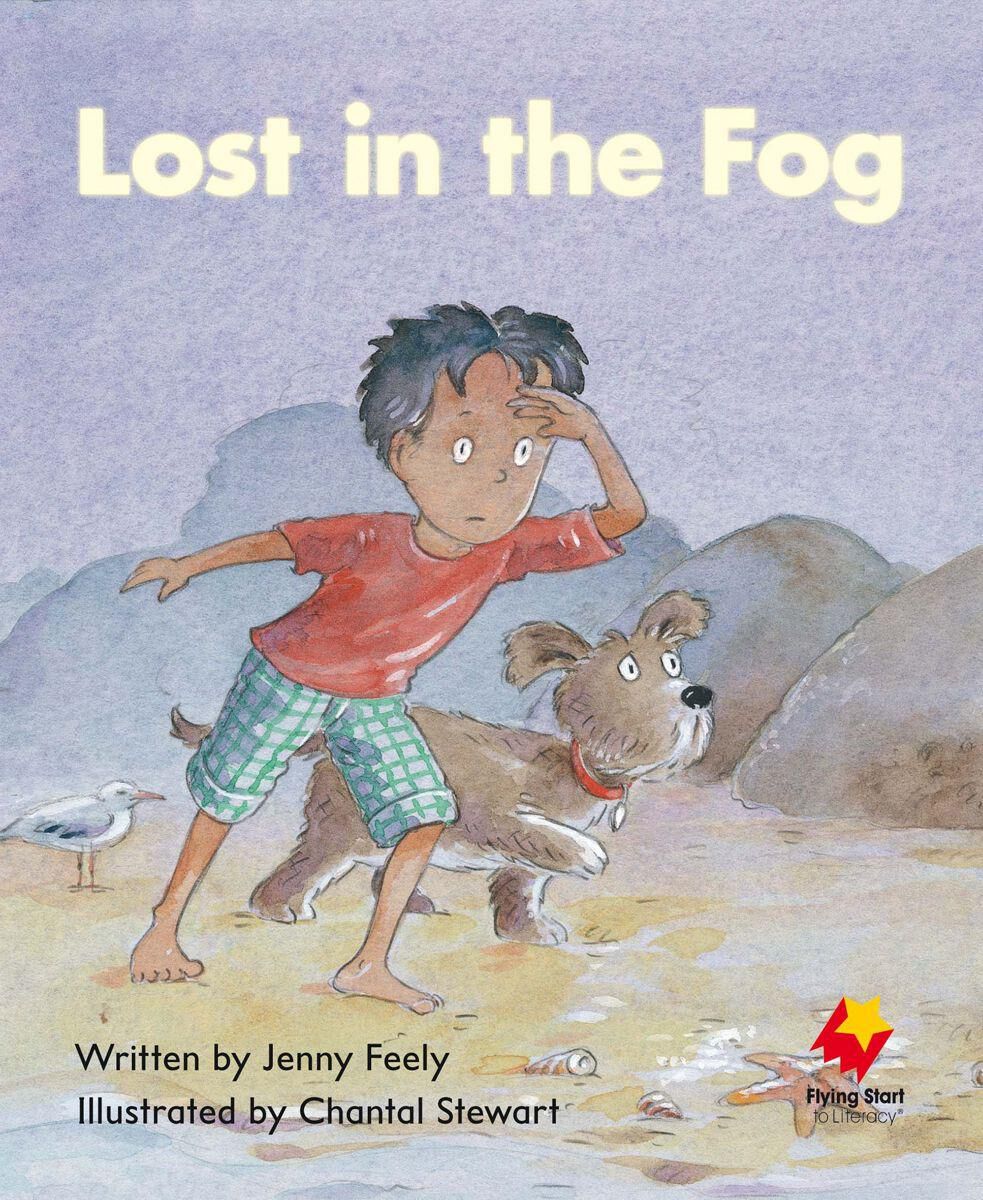 Flying Start: Level C: The Fog Came In/Lost in the Fog 12 Pack image number 2