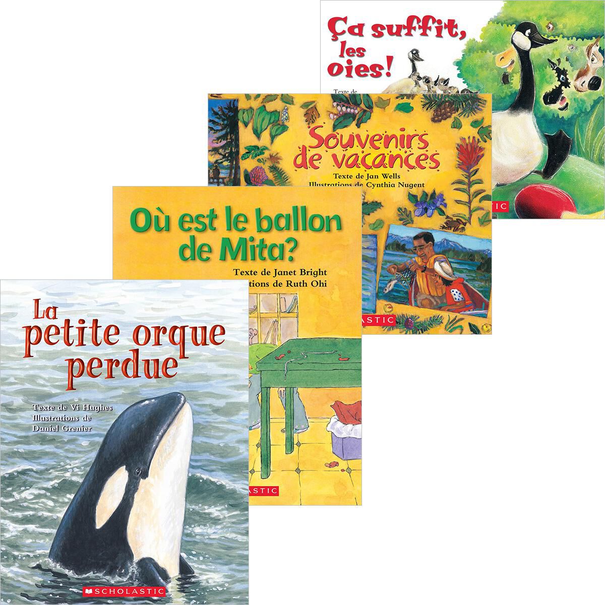 Envol en litt&eacute;ratie biblioth&egrave;que nivel&eacute;e G-I image number 0