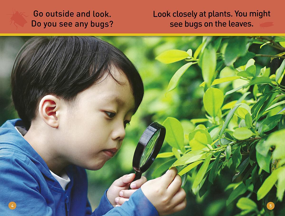 National Geographic Backyard Animals image number 4