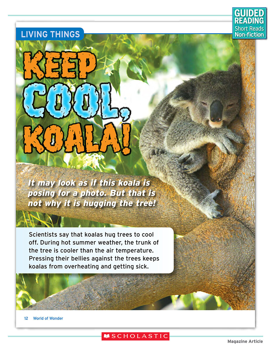 Guided Reading Short Reads Non-fiction Level L Complete Pack image number 3