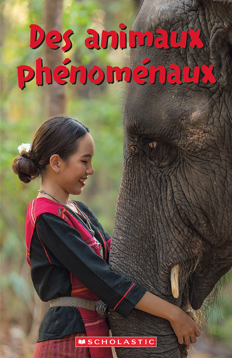 D&eacute;tectives de d&eacute;codage Niveaux 11-20 image number 8