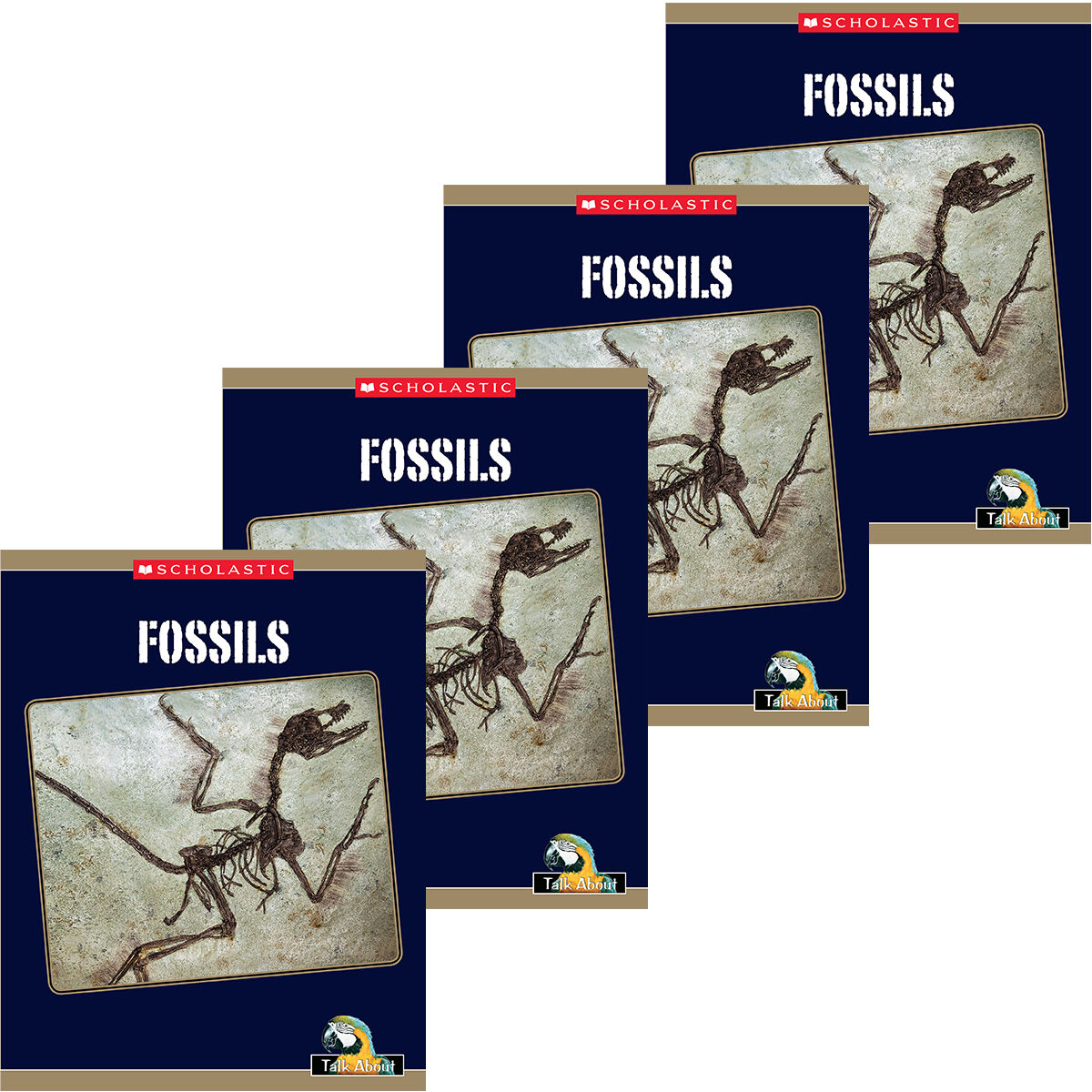 Talk About Science In My World: Earth and Space: Fossils 4 Pack