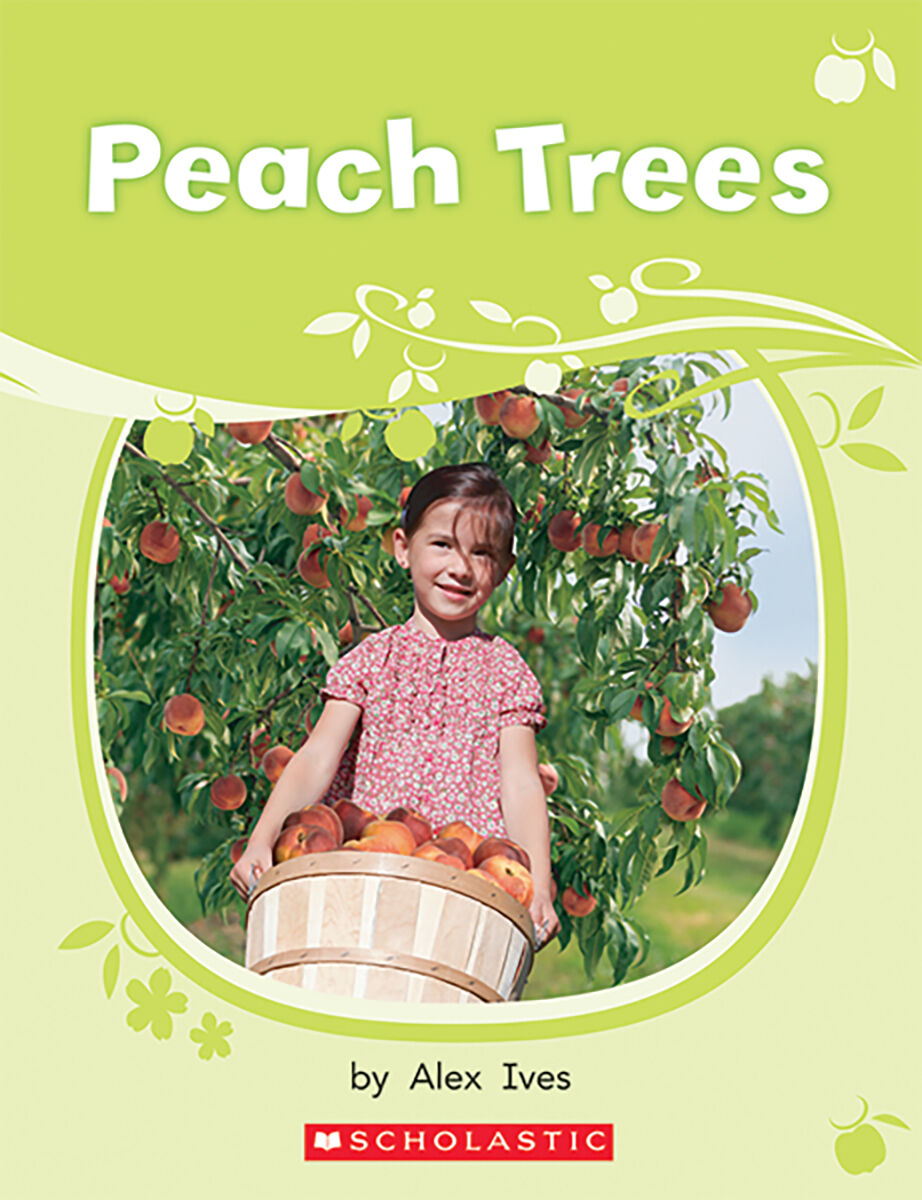 Literacy Place PLUS Grade 1 Independent Reading Collection image number 9