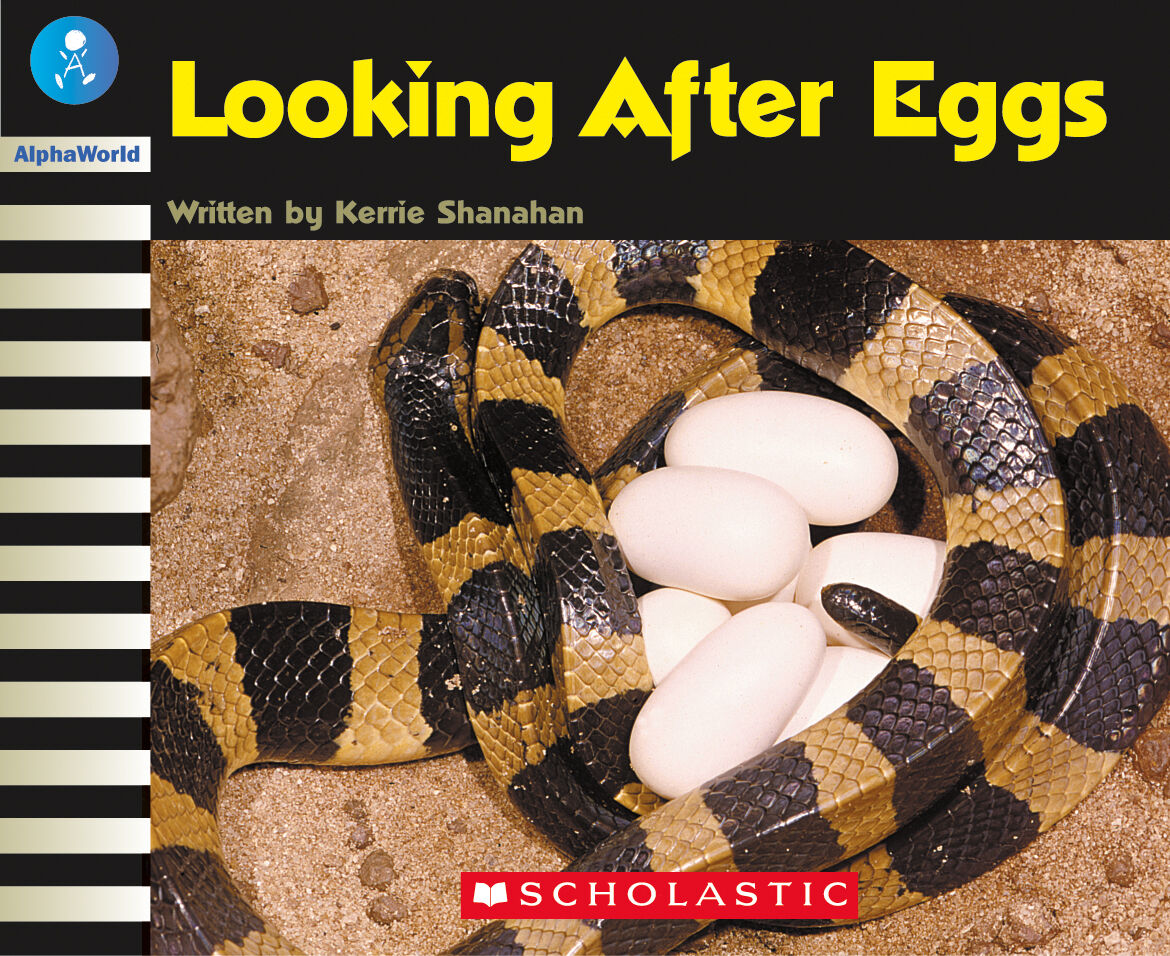 AlphaWorld: Level 20 (J) Library Pack image number 4