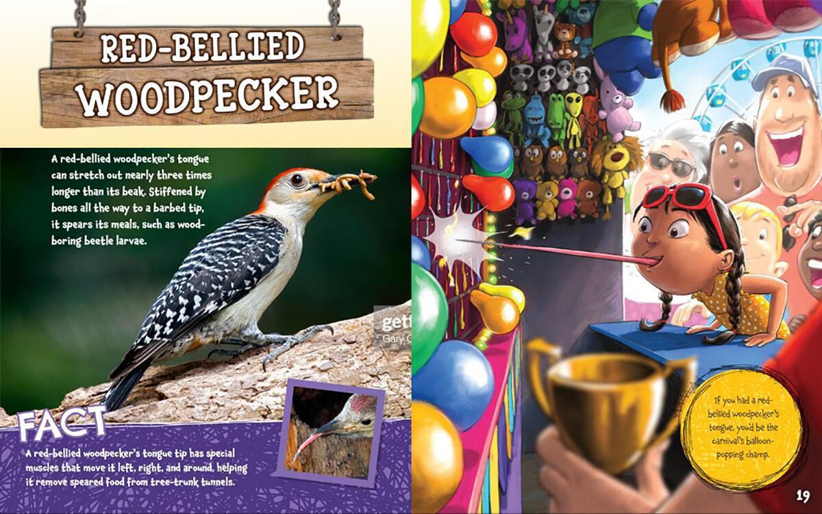 STEAM 2-3 Collection image number 4