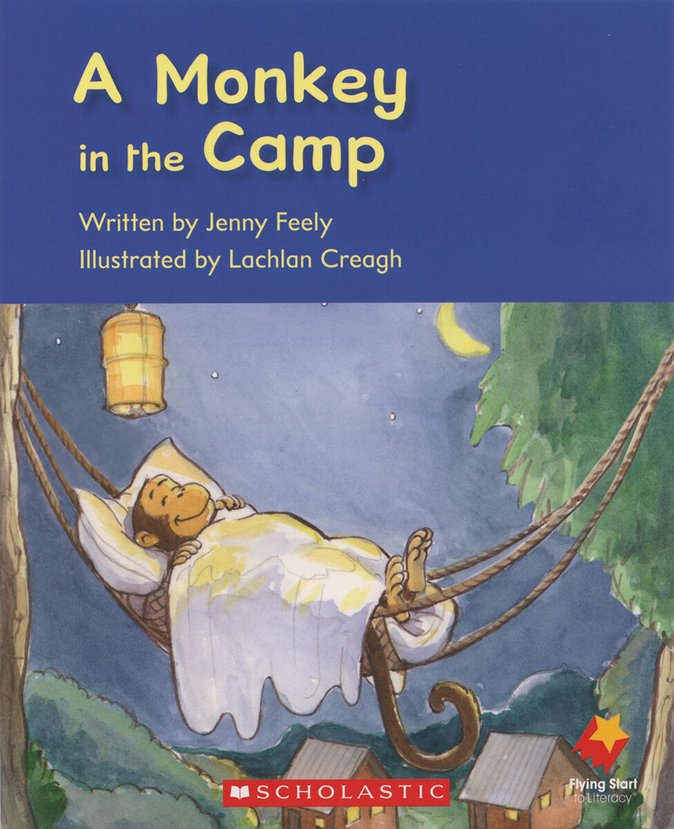Flying Start: Level D: My Camp Journal/A Monkey in the Camp 12 Pack image number 1