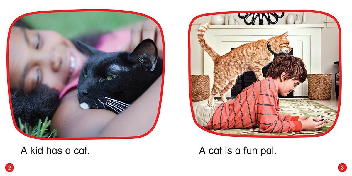 Nonfiction Phonics Readers SET 1: Short Vowels, Blends & More image number 8