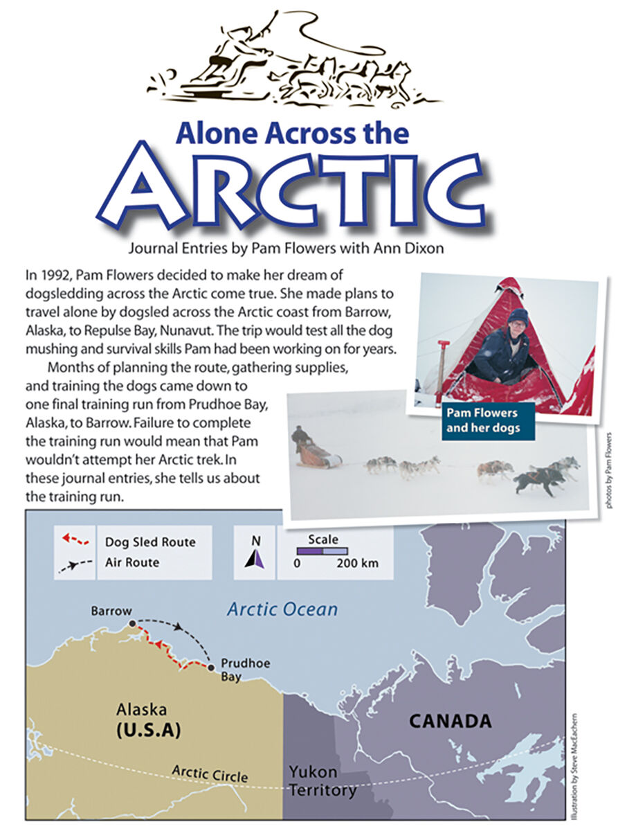 Moving Up Grade 4 Genre Book Club: Ready, Set, Adventures! image number 3