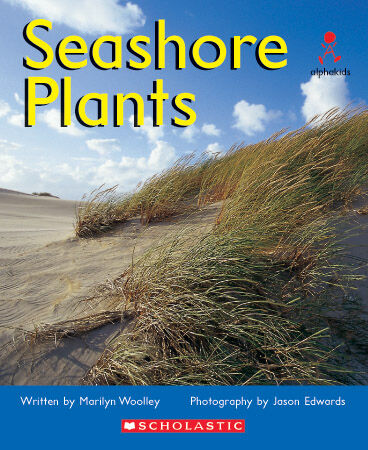 Alphakids: Set 2, Level 16 (I) Multi-pack image number 5