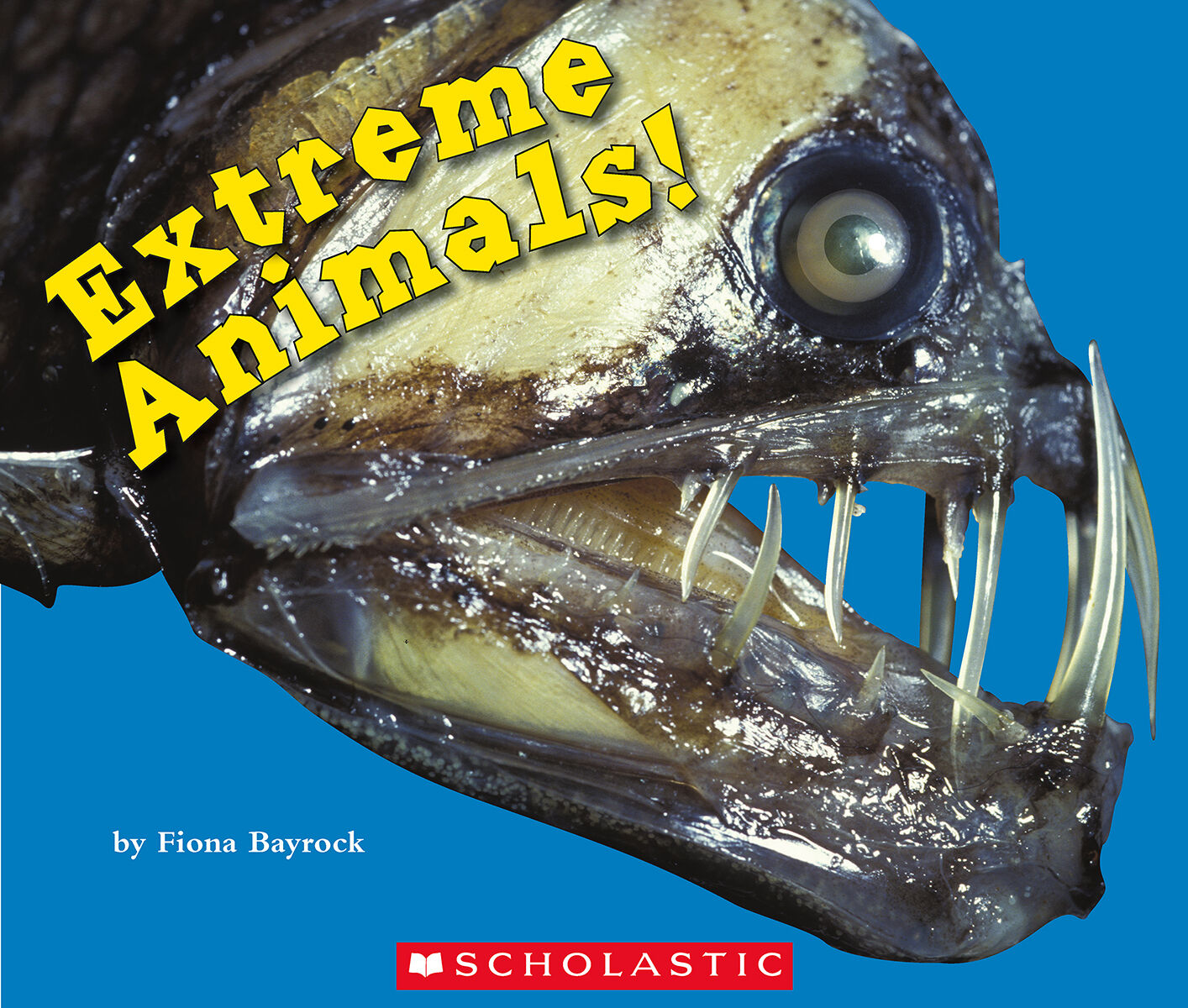 LPEY Levelled Libraries: Level L image number 2