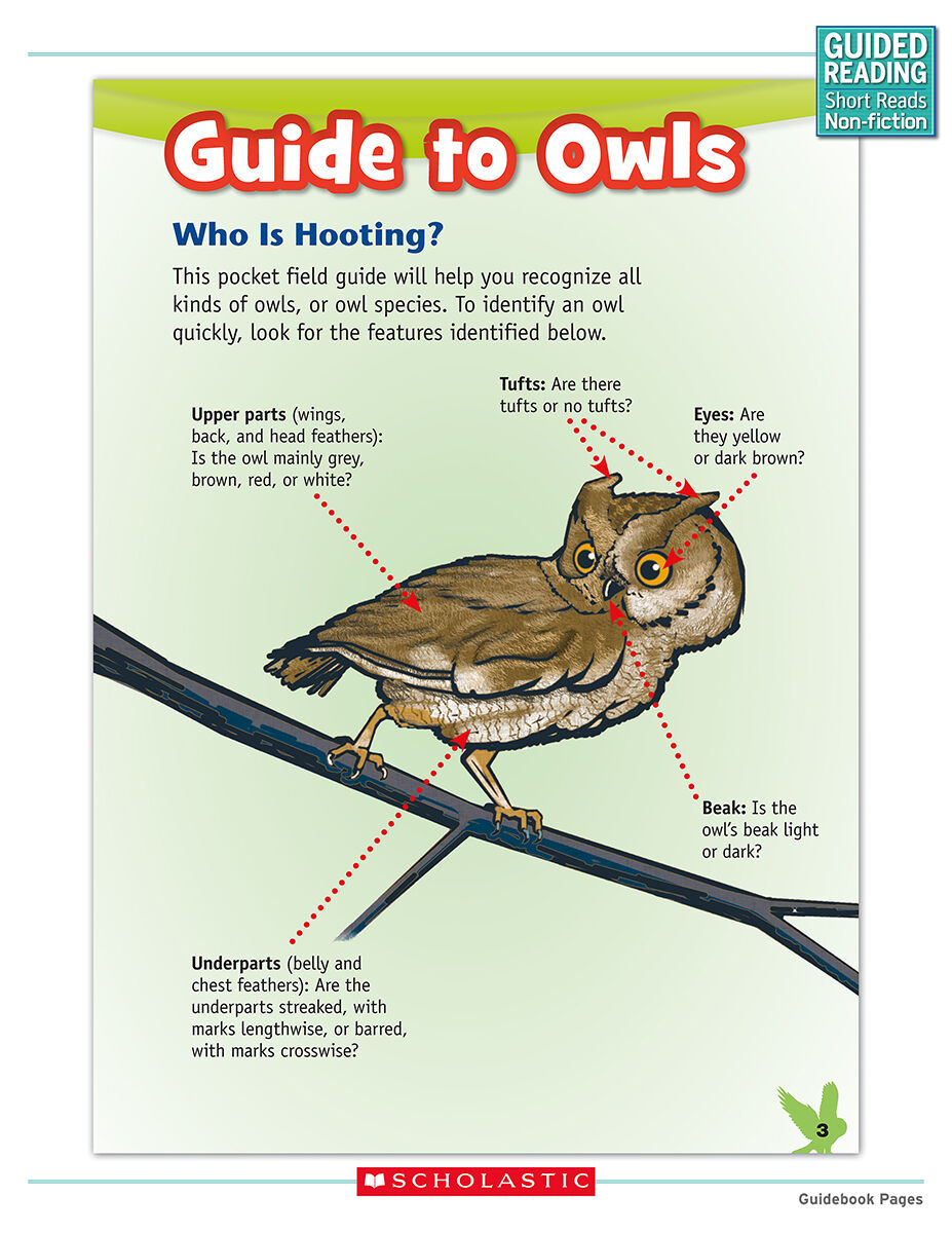 Guided Reading Short Reads Non-fiction Level R Complete Pack image number 5