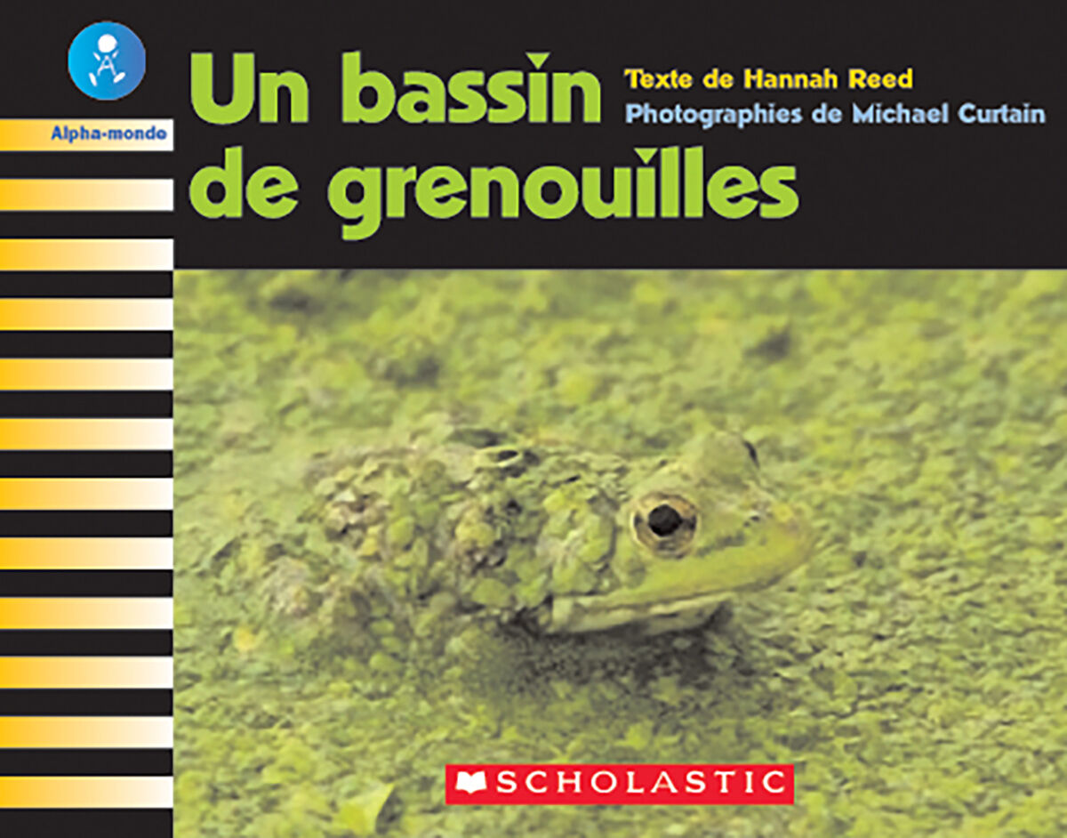 Alpha-monde: Emballage Niveau 20 (J) image number 4