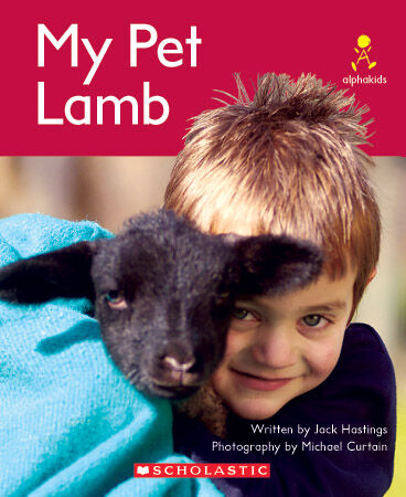 Alphakids: Set 2, Level 14 (H) Multi-pack image number 5