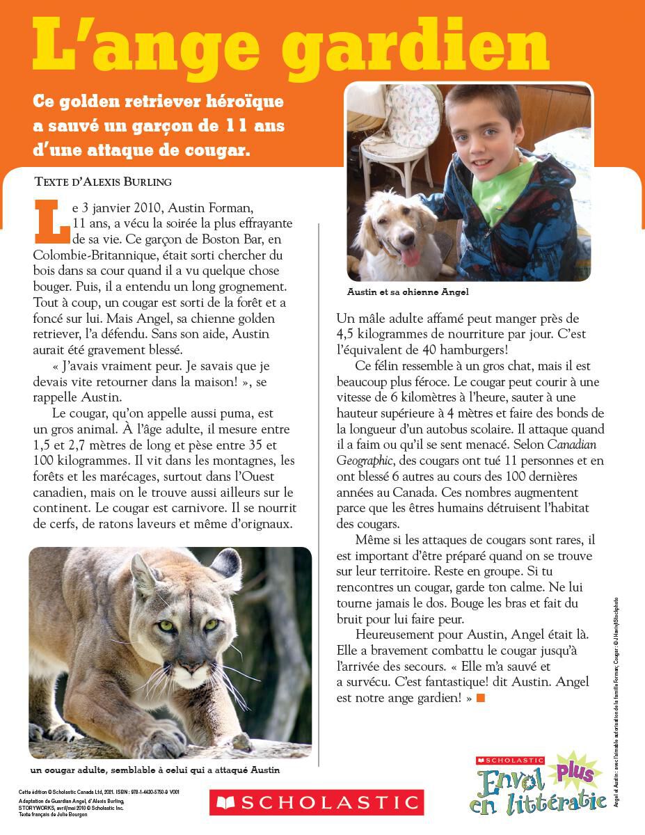 Envol an litt&eacute;ratie Maternelle &agrave; 4e ann&eacute;e: Niveau N: L'ange gardien Emballage de 6