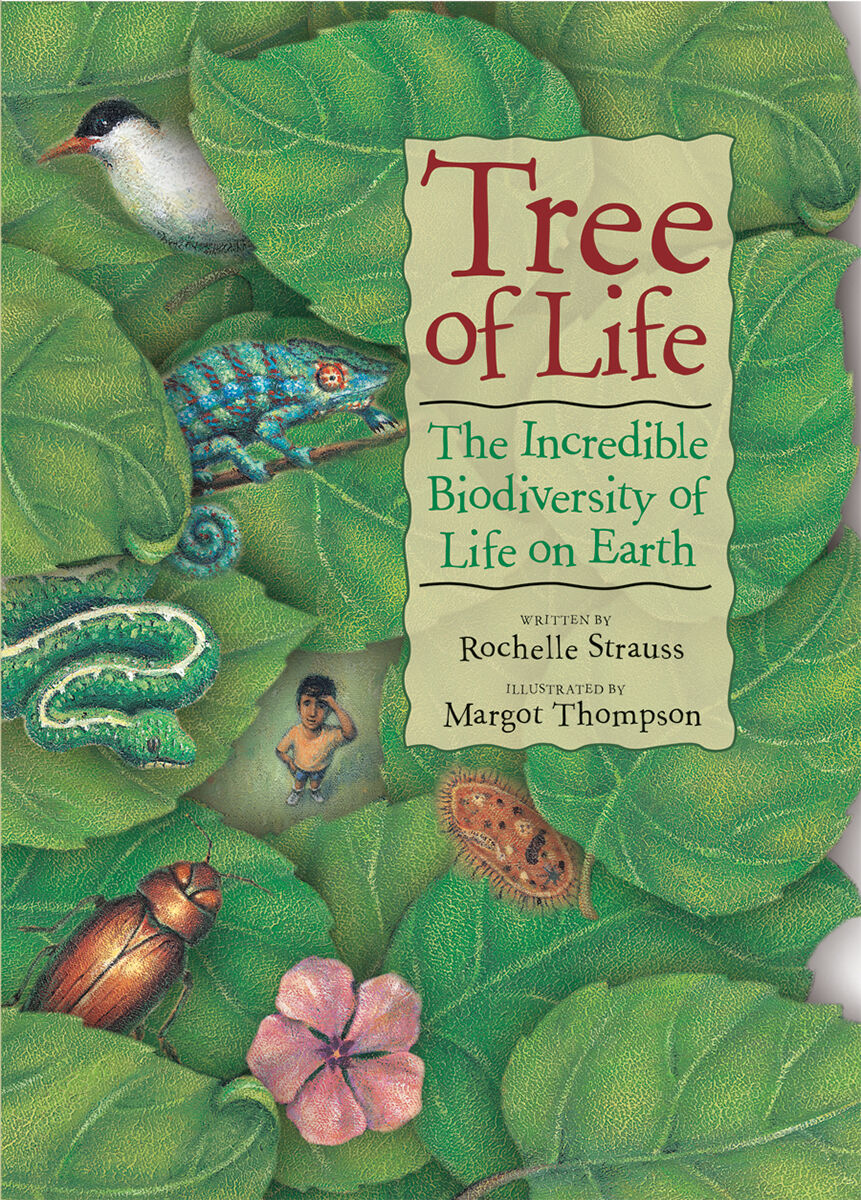 Moving Up Grade 6 Self-Monitoring Strategy Unit image number 2