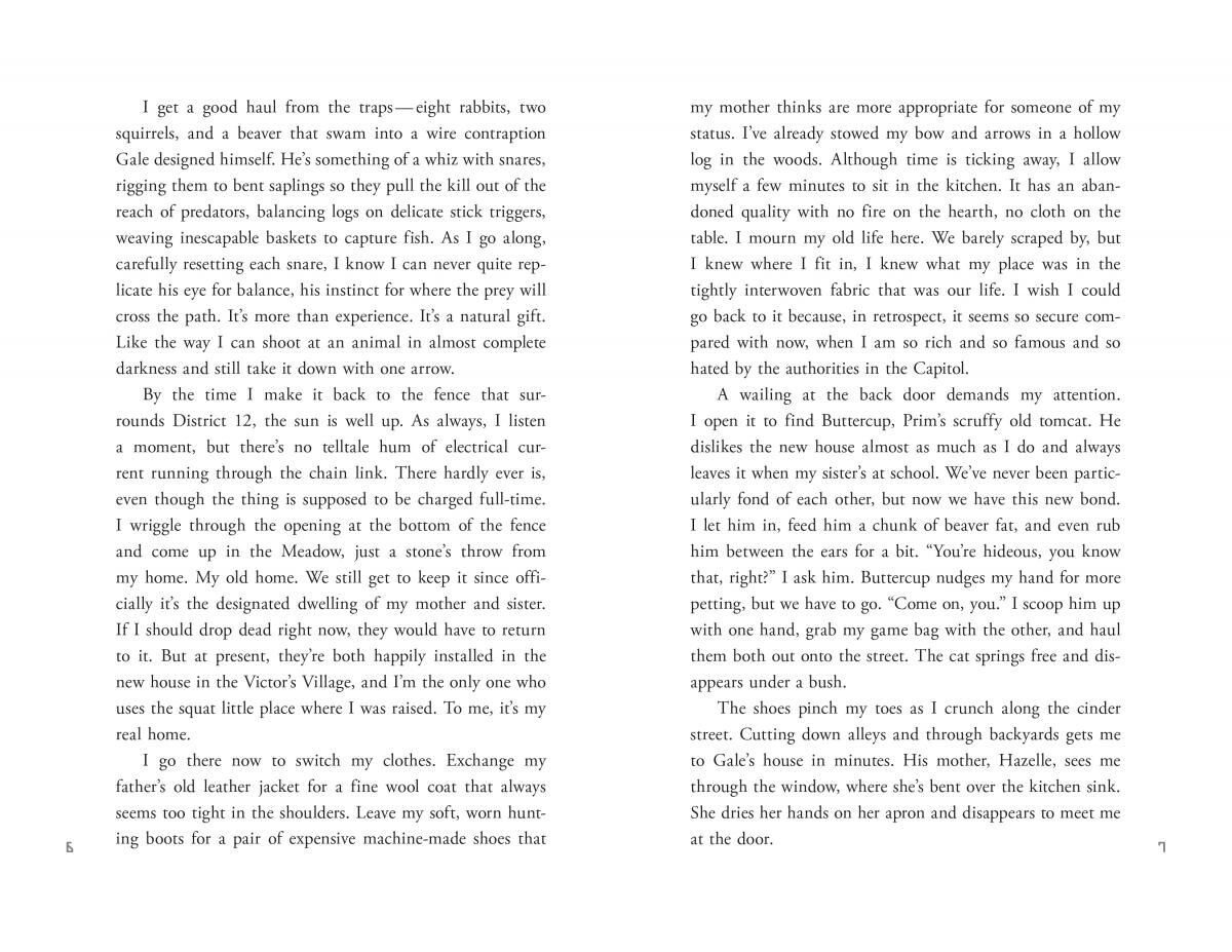 The Hunger Games #2: Catching Fire image number 3