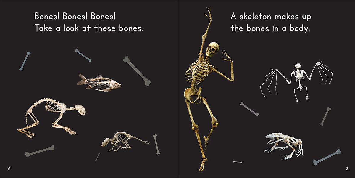 Read to Know Text Sets image number 2