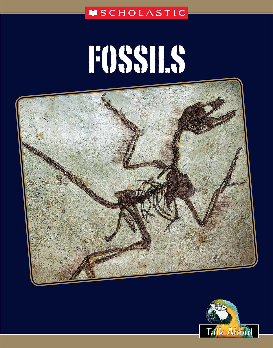 Talk About Science In My World: Earth and Space: Fossils 4 Pack image number 1