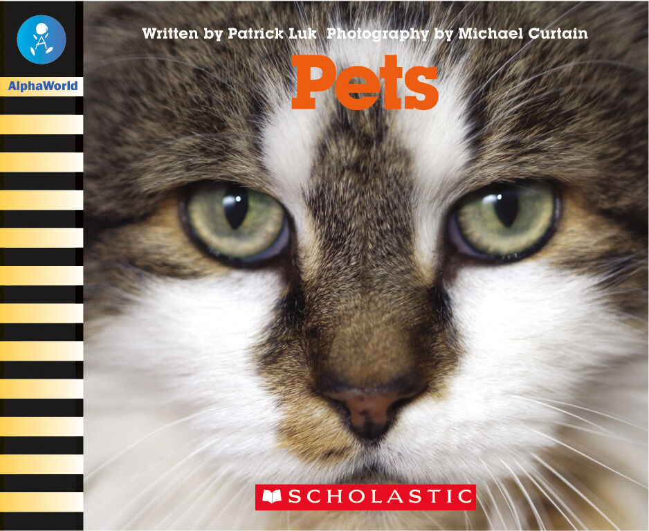 AlphaWorld: Levels 1-11 Complete Set image number 5