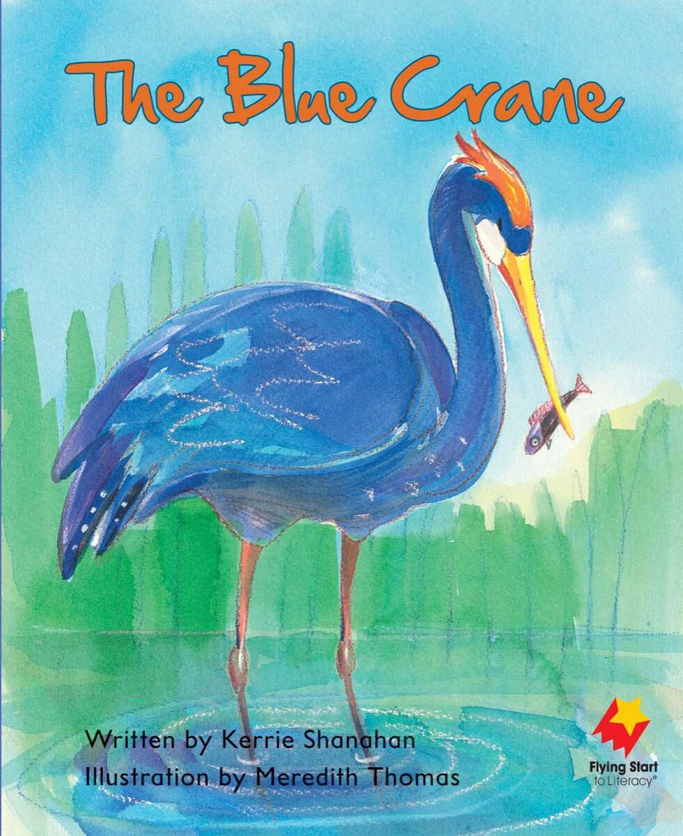 Flying Start: Level G: Making Friends/The Blue Crane 12 Pack image number 1