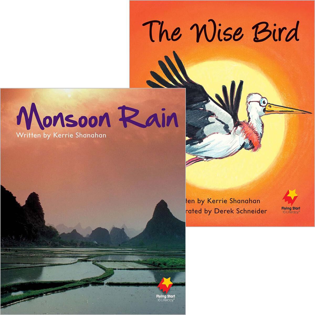 Flying Start: Level H: Monsoon Rain/The Wise Bird 12 Pack image number 0