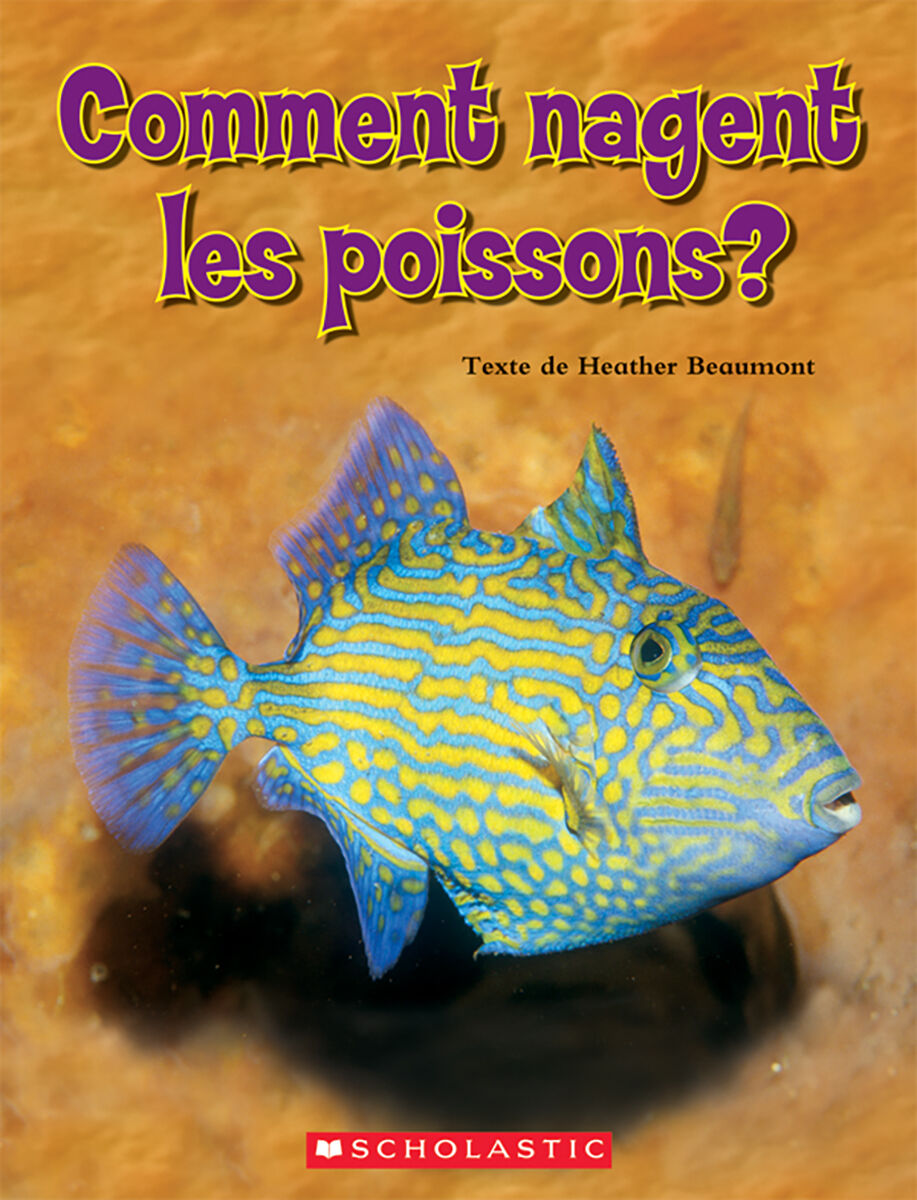 Envol an litt&eacute;ratie Trousse compl&egrave;te de lecture guid&eacute;e: Niveaux M &agrave; P image number 7