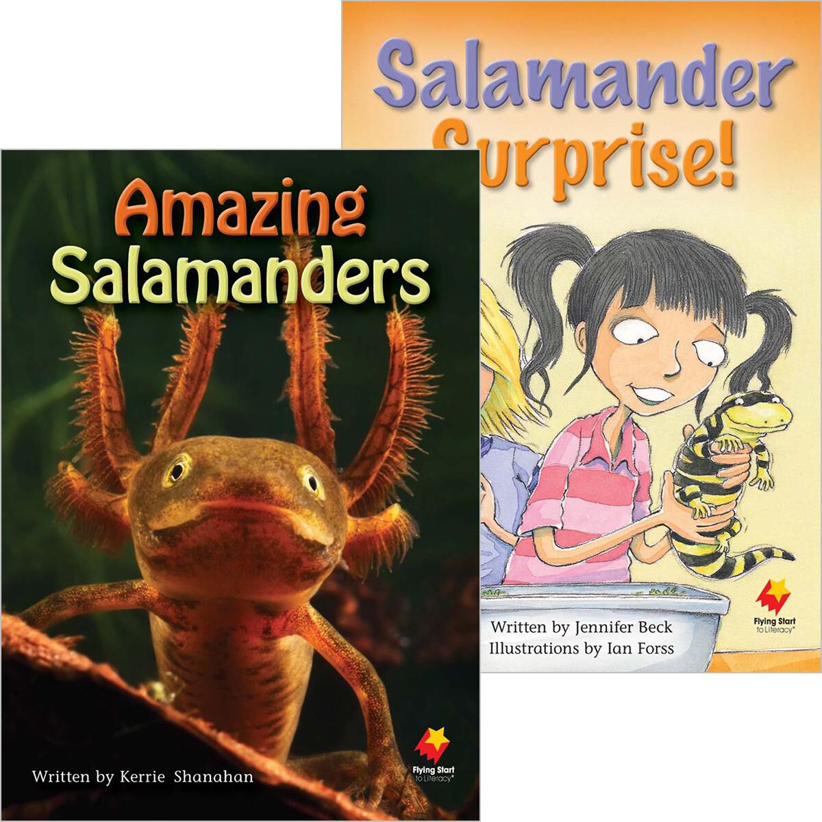 Flying Start: Level N: Amazing Salamanders/Salamander Surprise! 12 Pack