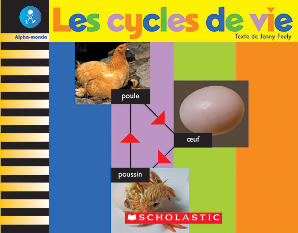 Alpha-monde: Emballage Niveau 12 (G) image number 4