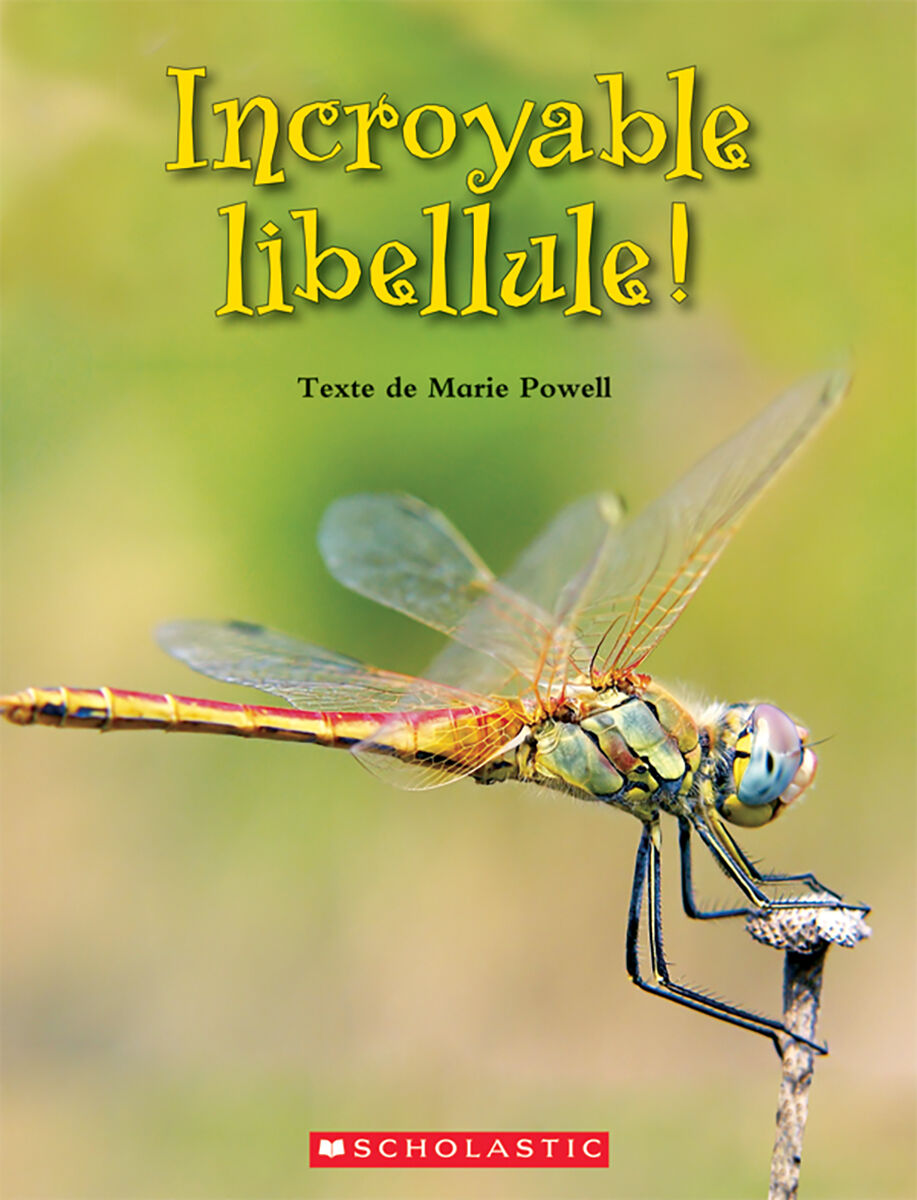 Envol an litt&eacute;ratie 2e &agrave; 4e ann&eacute;e: Niveau P: Incroyable libellule! Emballage de 6