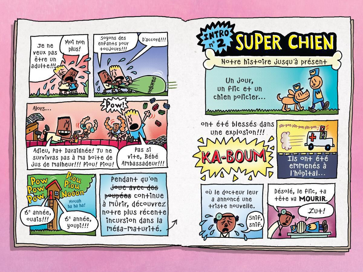 Super Chien : N&deg; 8 - Attrape-22 image number 3