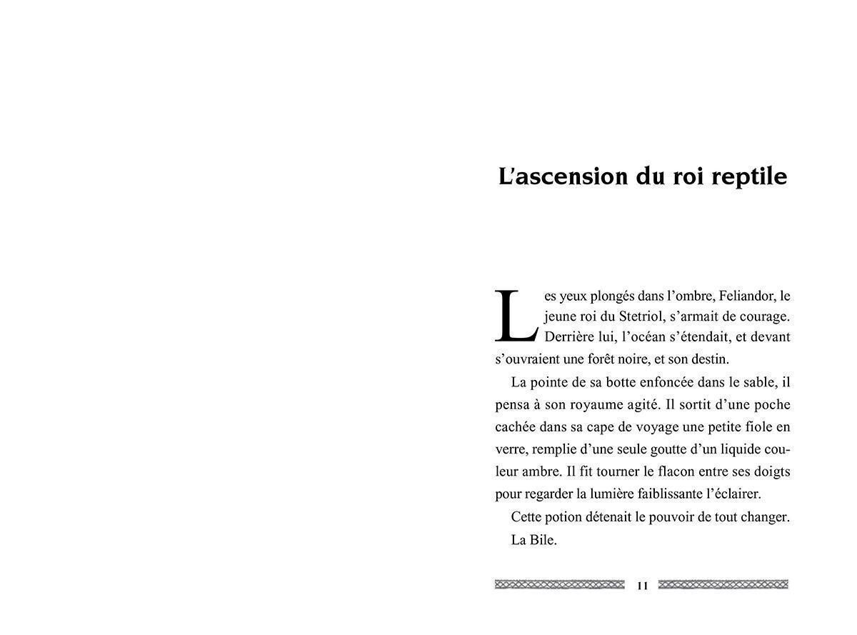 Animal totem : B&ecirc;tes Supr&ecirc;mes: Le livre des origines image number 1