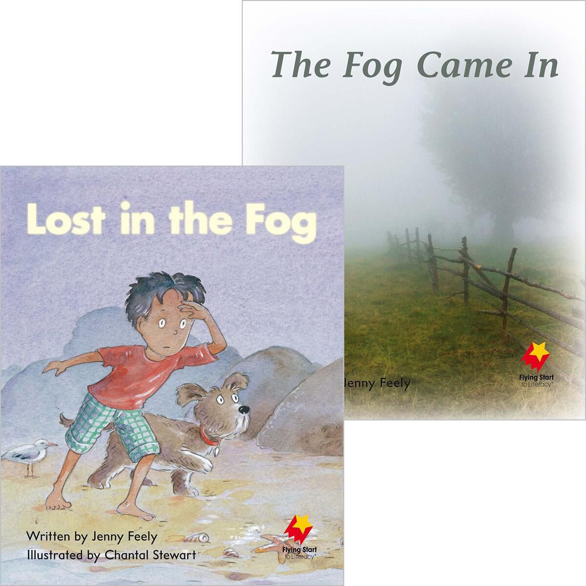 Flying Start: Level C: The Fog Came In/Lost in the Fog 12 Pack