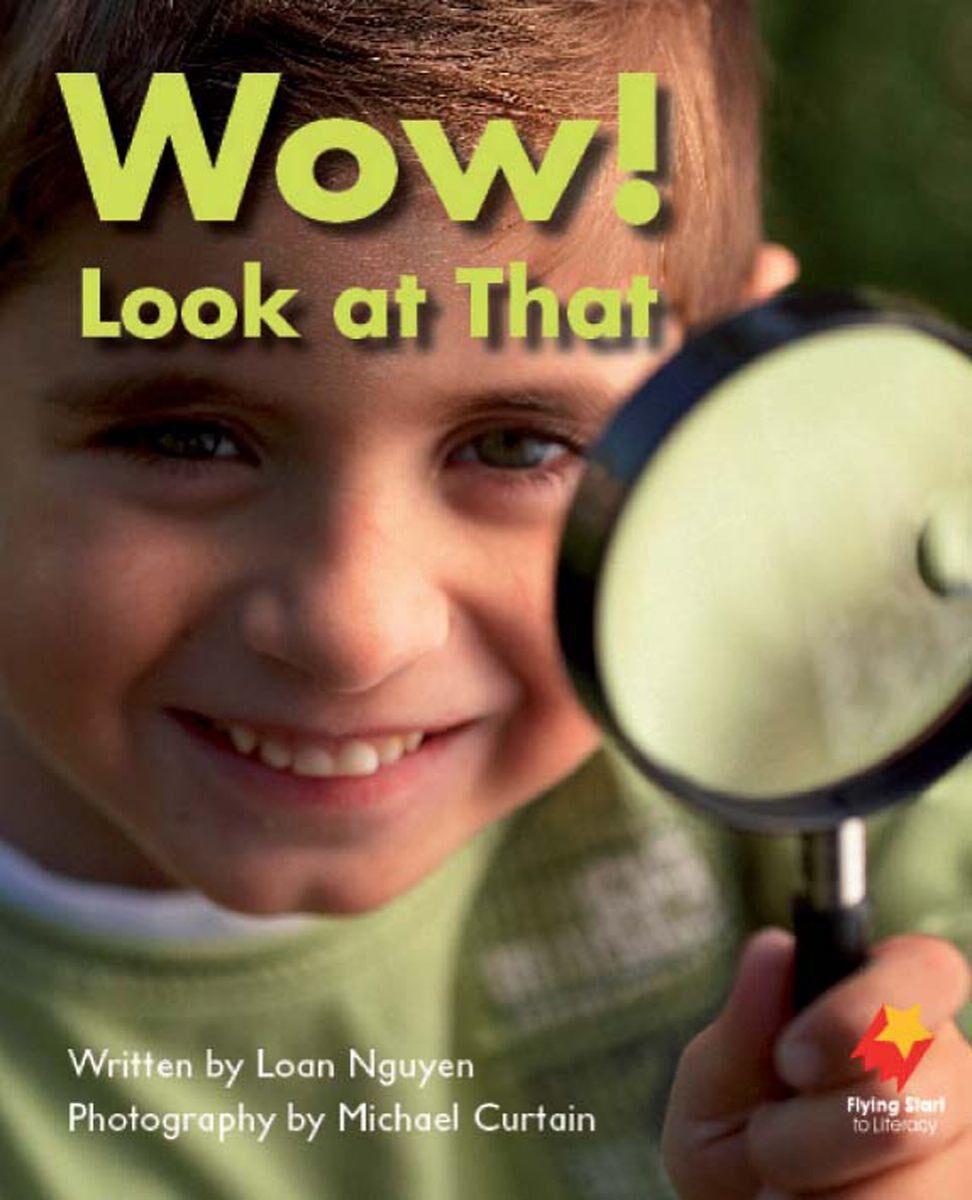 Flying Start: Level A Book Pack image number 7