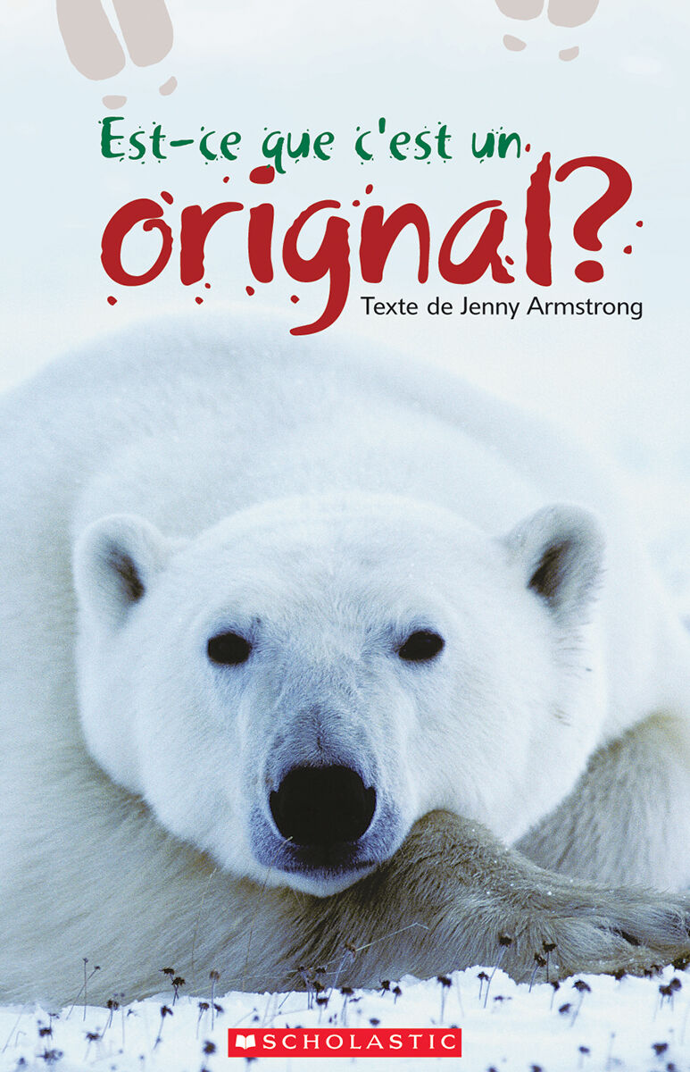 Envol an litt&eacute;ratie 1re ann&eacute;e: Est-ce que c'est un orignal? grand livre image number 0