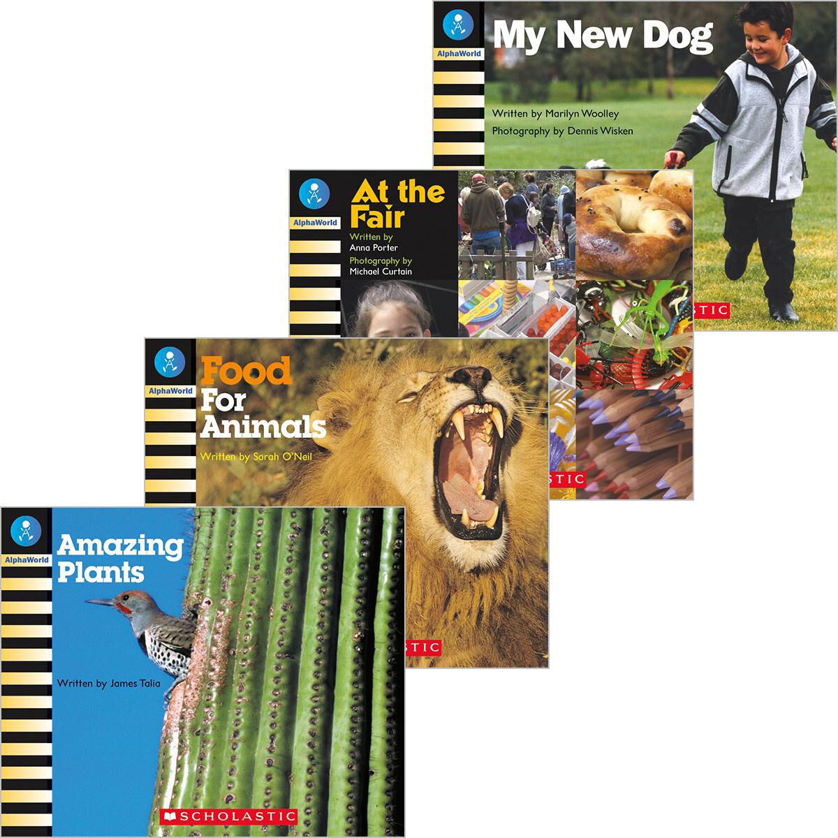 AlphaWorld: Levels 6-11 Book Set image number 0