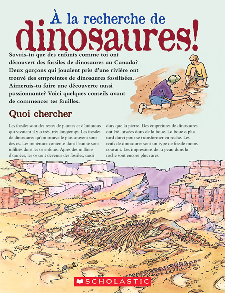 Envol an litt&eacute;ratie 1re ann&eacute;e Emballage de lecture guid&eacute;e: Biblioth&egrave;que de classe Q &agrave; T image number 5