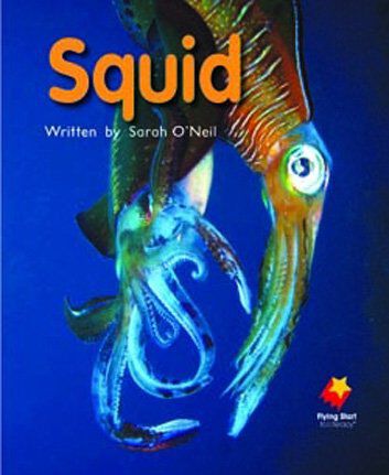 Flying Start: Level E Library Pack image number 6