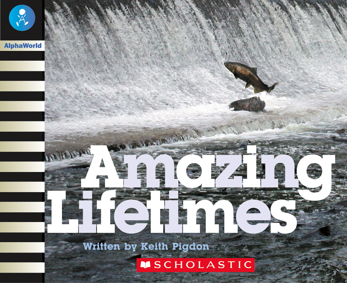 AlphaWorld: Level 21 (K) Multi-pack image number 4