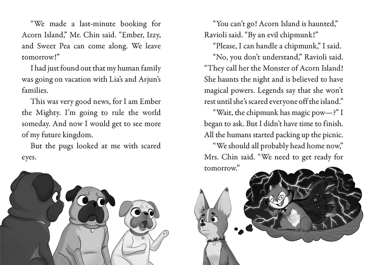 Pets Rule! #6: The Night of the Chipmunk image number 2