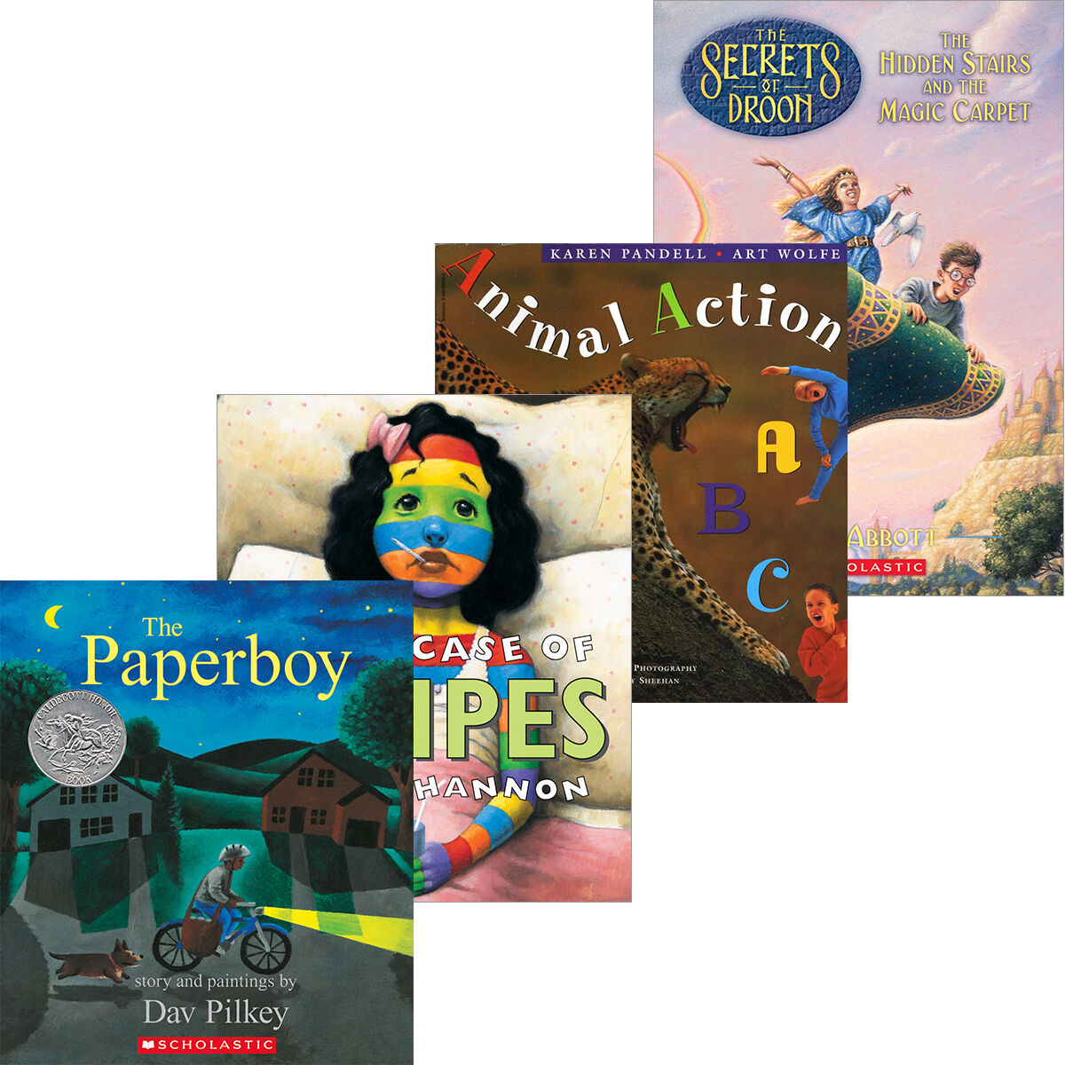 Grade 3 Independent Reading Classroom Libraires: Levels J-P