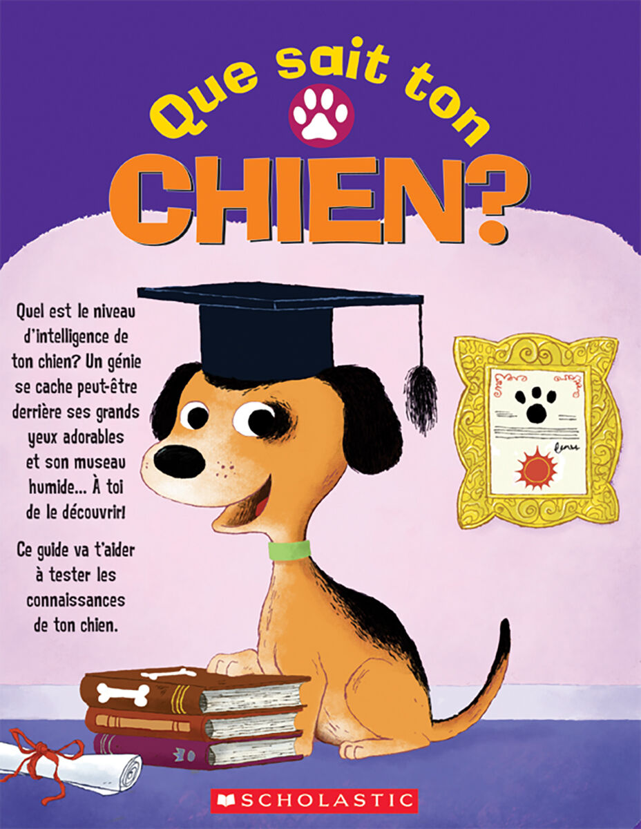 Envol an litt&eacute;ratie 2e &agrave; 4e ann&eacute;e: Niveau N: Que sait ton chien? Emballage de 6 image number 0